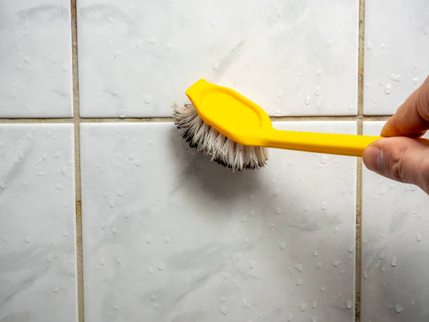 Best Mold Inspection  in Granby, CO